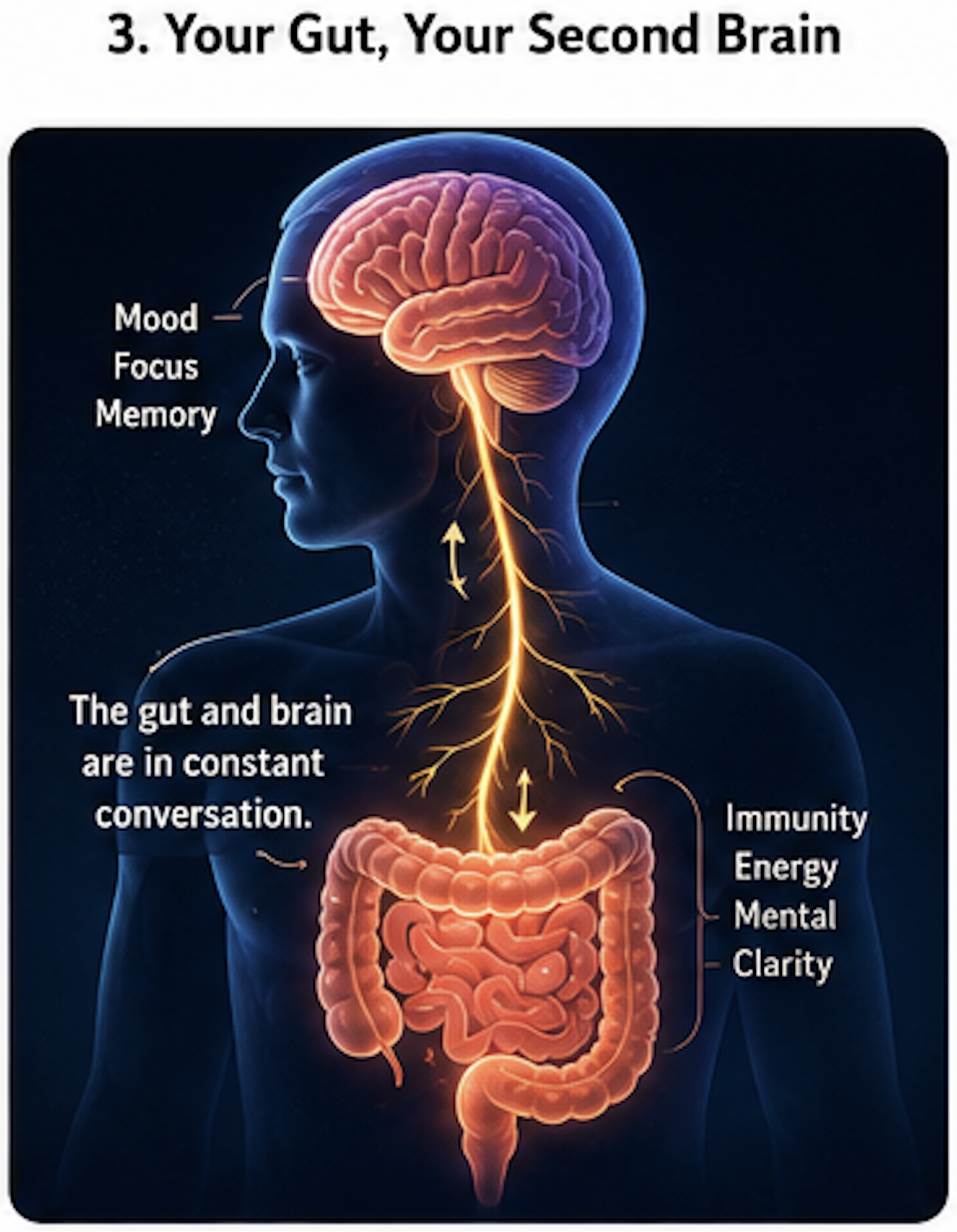 What you feed into your gut is what gets fed into your brain